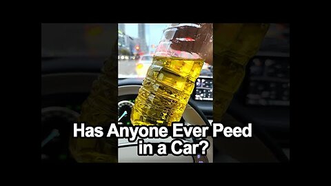 To Pee or Not to Pee: The Ultimate Dilemma! 🚙💦