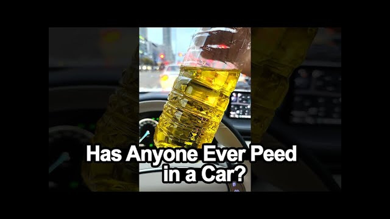 To Pee or Not to Pee: The Ultimate Dilemma! 🚙💦