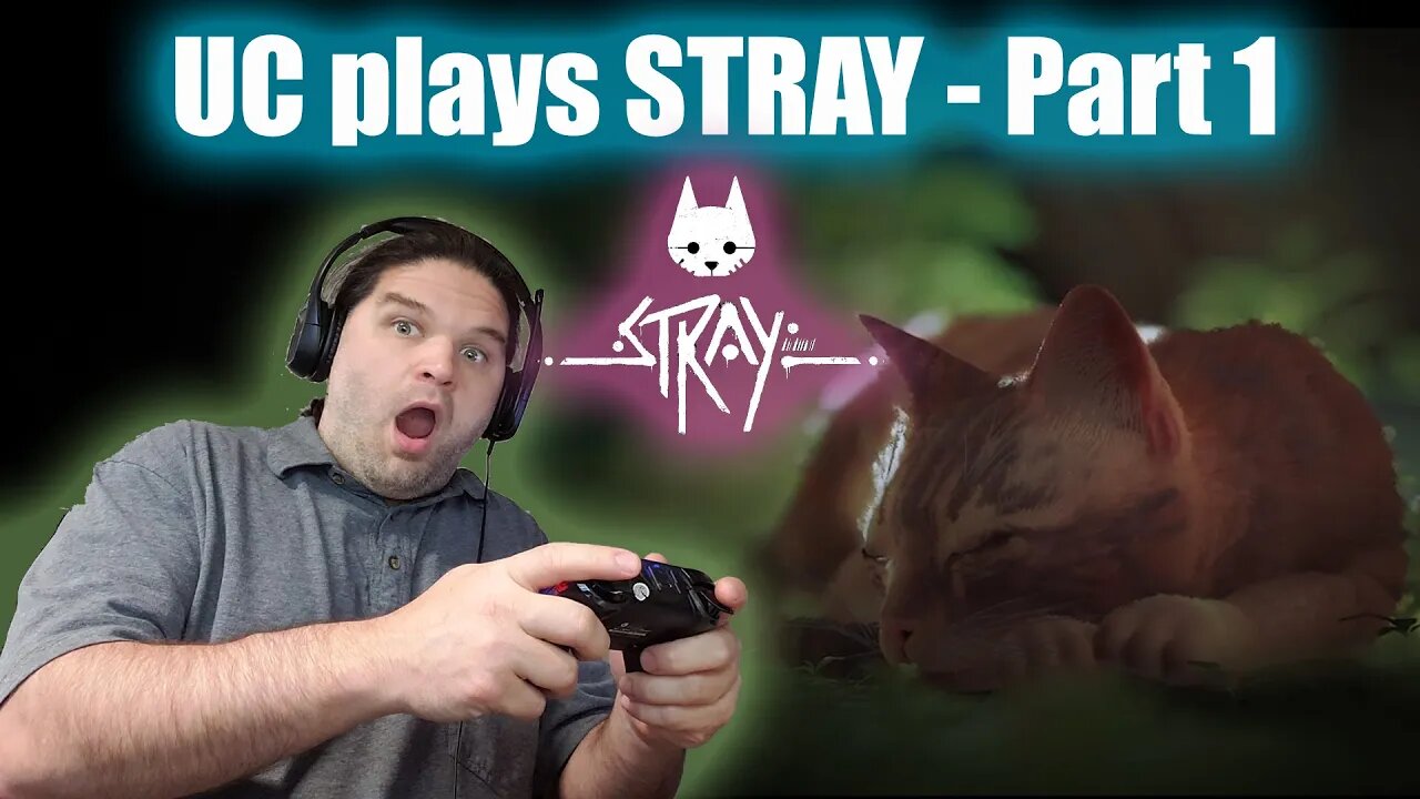 HOW UC Plays STRAY Videogame: The Definitive Guide - Part 1