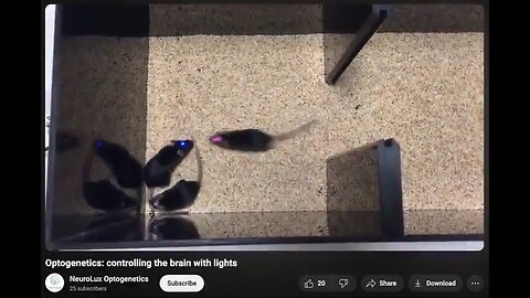 WARNING: They Can Use OptoGenetics/Electronics to Make People Spin & Die or "Own Nothing & Be Happy"