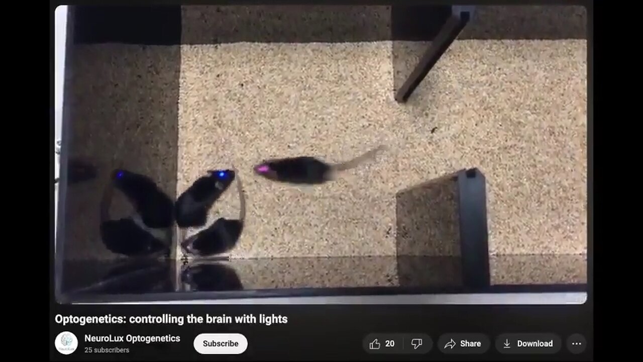 WARNING: They Can Use OptoGenetics/Electronics to Make People Spin & Die or "Own Nothing & Be Happy"