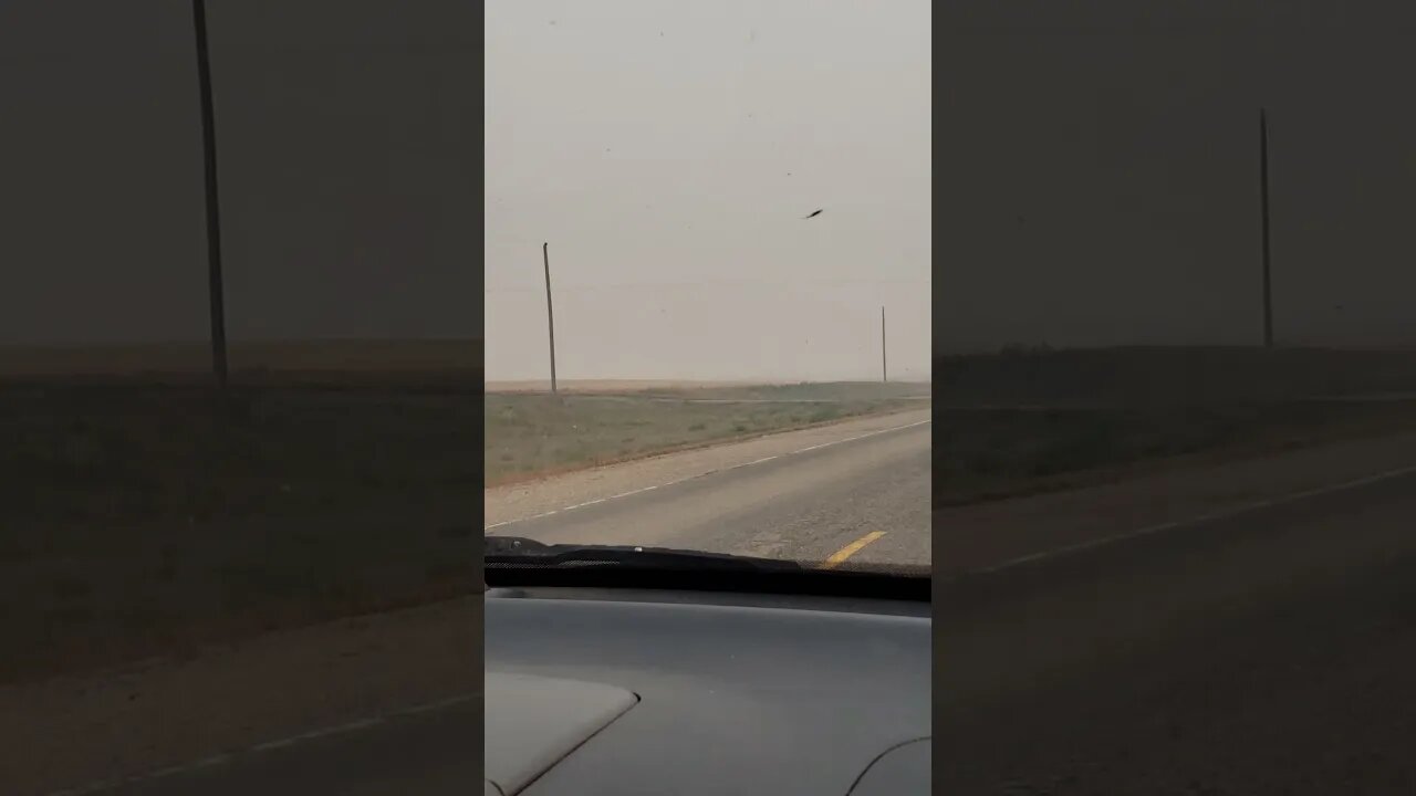 Smokey Drive