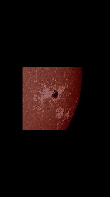 A Big Unstable SUNSPOT