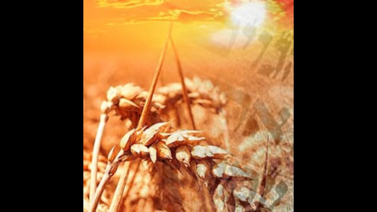 Los Entendidos. Parte 1 Shavuot