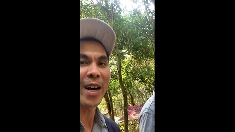 We Reached The Mountain