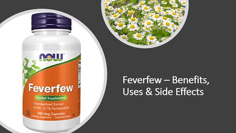 Feverfew - Benefits, Uses & Side Effects