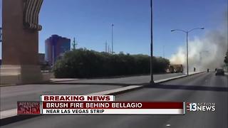 Fire in trees near Las Vegas Strip