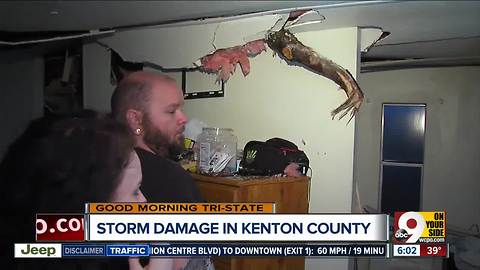 Tree smashes into family's Morning View trailer