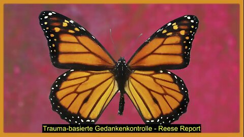 Trauma-basierte Gedankenkontrolle - Reese Report