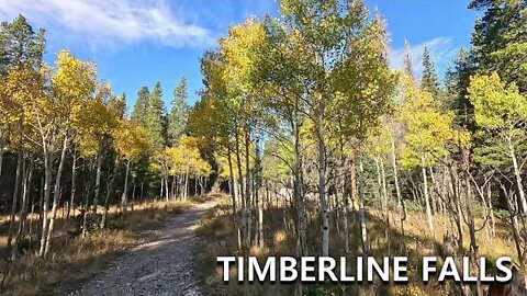 Timberline Falls - Roosevelt National Forest