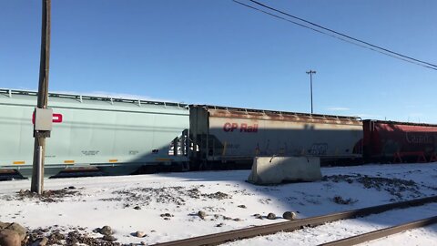 CP Grain at Alyth