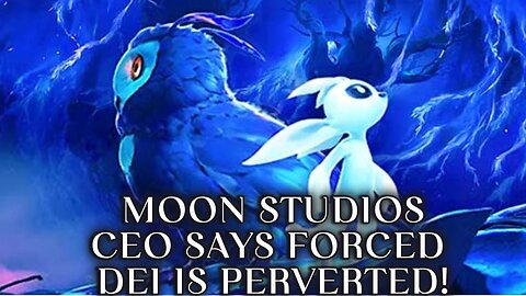 Moon Studios CEO ‘Ori’ Series Director calls DEI Perverted”