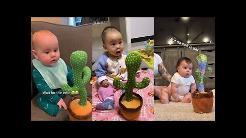 Cute Baby Reacts to Dancing Cactus Video #shorts #short #KBMultimedia