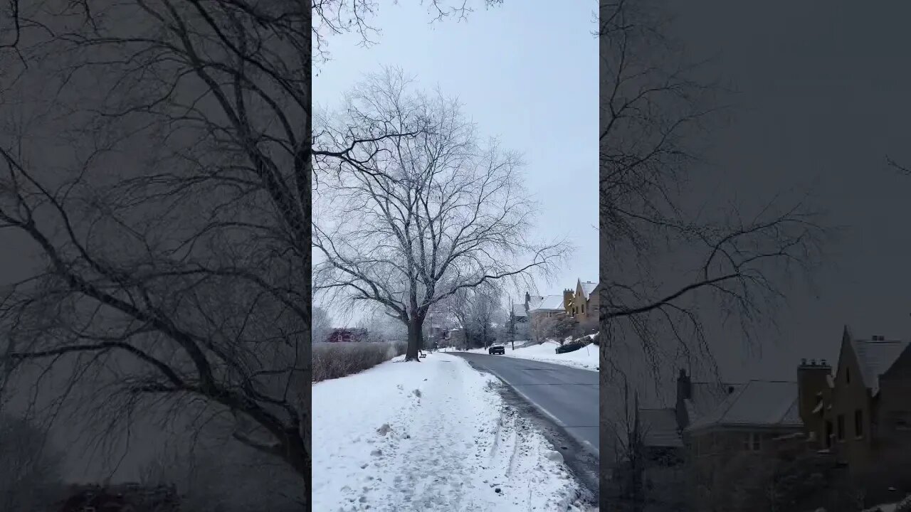Westmount covered of white snow