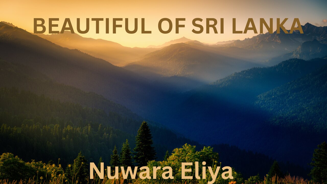 Farmhouse in Nuwara Eliya | Sri Lanka