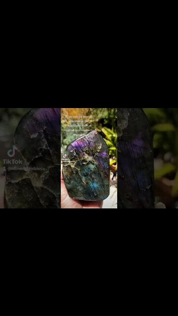 Labradorite Crystals Purple Labradorite Stones Is Purple Labradorite Rare?
