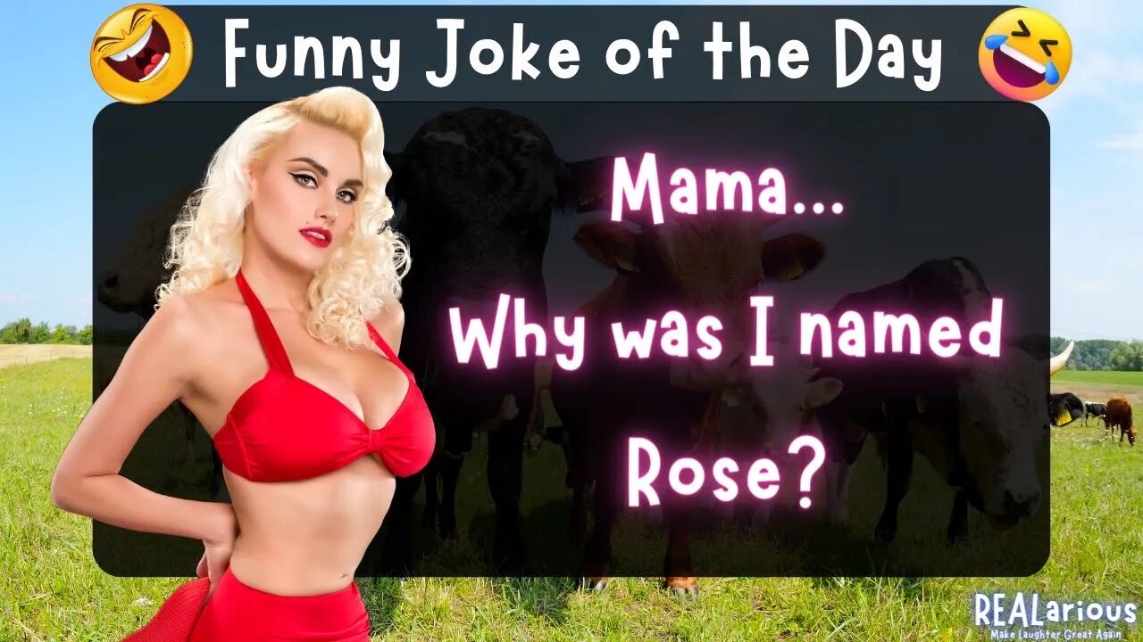 Daily Joke of the Day - Funny Short Joke