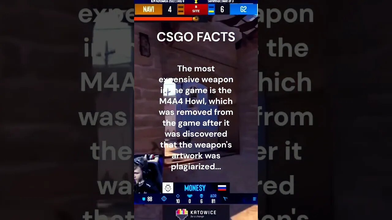 Plagiarized and Valuable Weapon: The Story of M4A4 Howl in CSGO #shortsfacts #csgo #cs