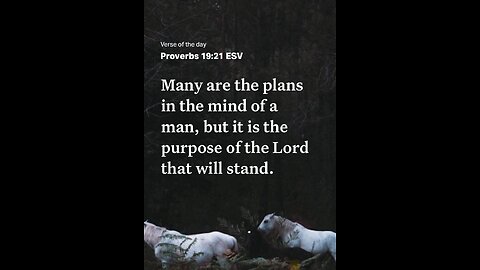 Mermaid lol lal💜🙏💜🧙‍♂️