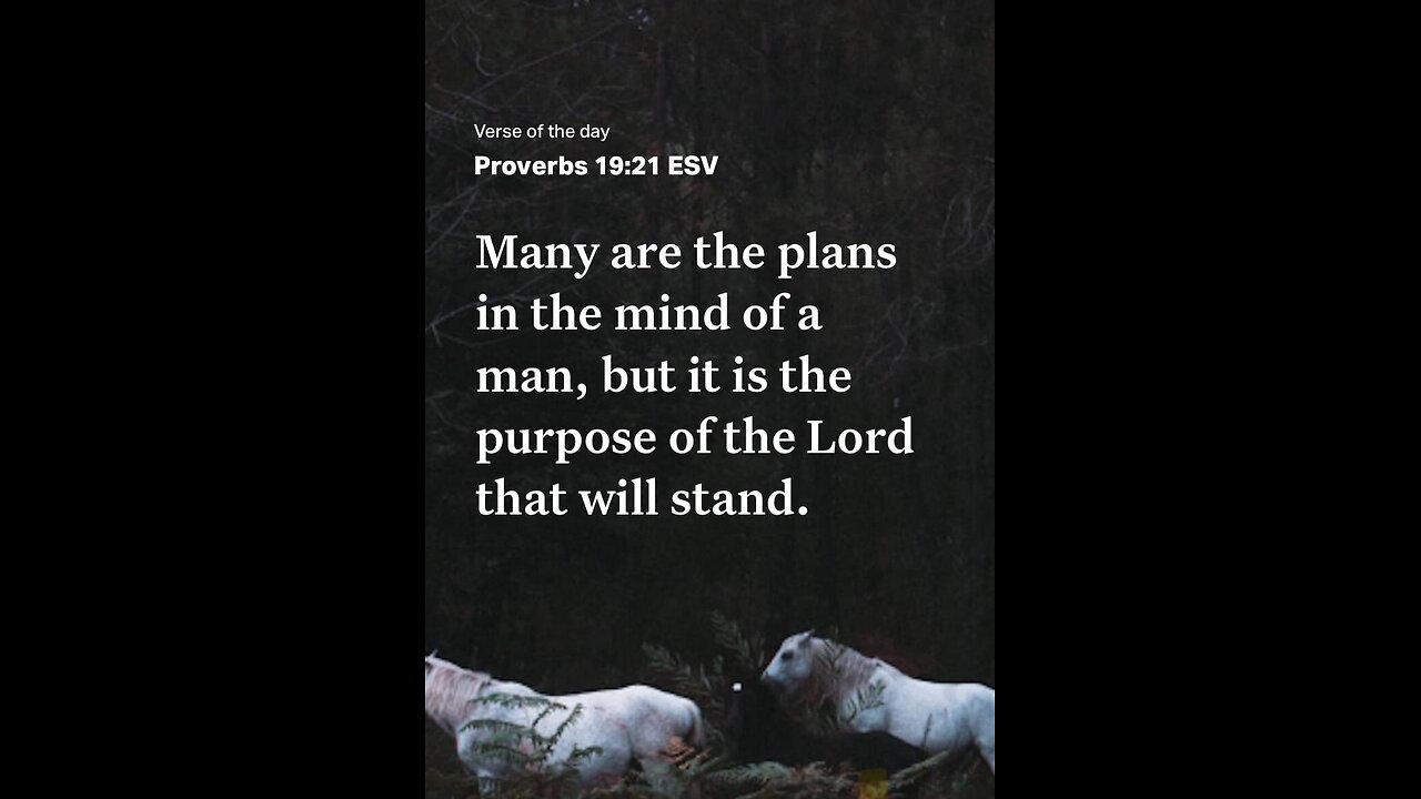 Mermaid lol lal💜🙏💜🧙‍♂️