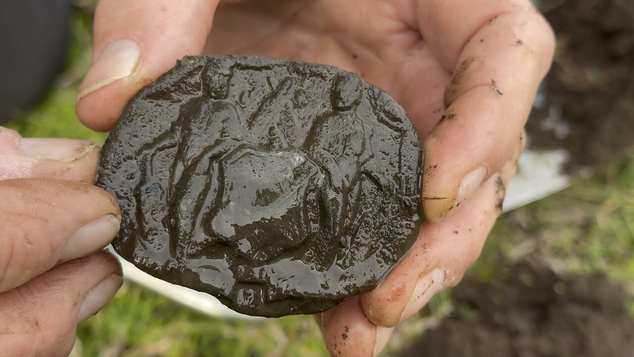 The Cricket Buckle Metal Detecting