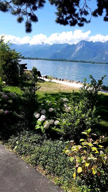 Walking near the swiss lake perfect blue water