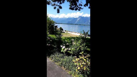 Walking near the swiss lake perfect blue water