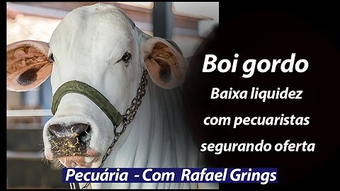 Boi gordo tem baixa liquidez . Pressão deve vir das fêmeas no gancho