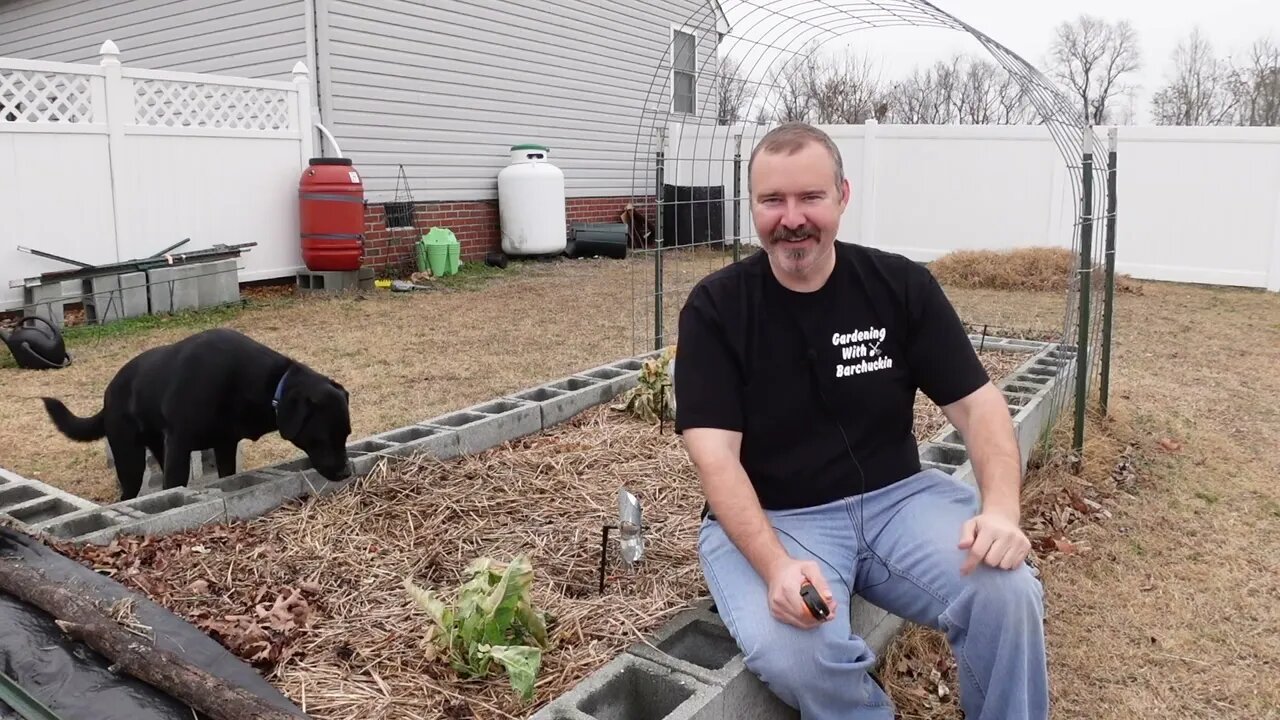 Winterizing the raised garden bed