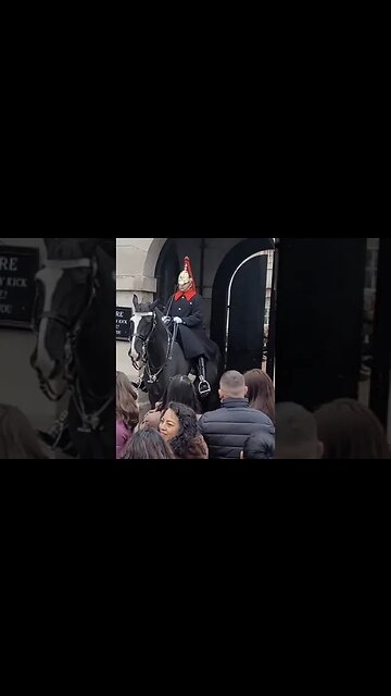 Buckle up #thekingsguard