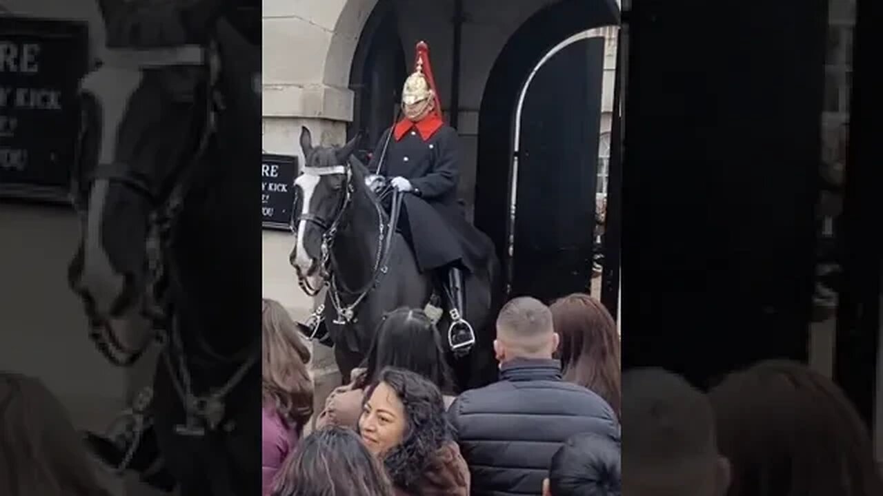 Buckle up #thekingsguard