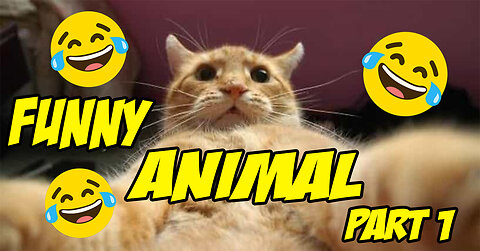 FUNNY ANIMAL COMPILATION PART 1 🤣🤣🤣