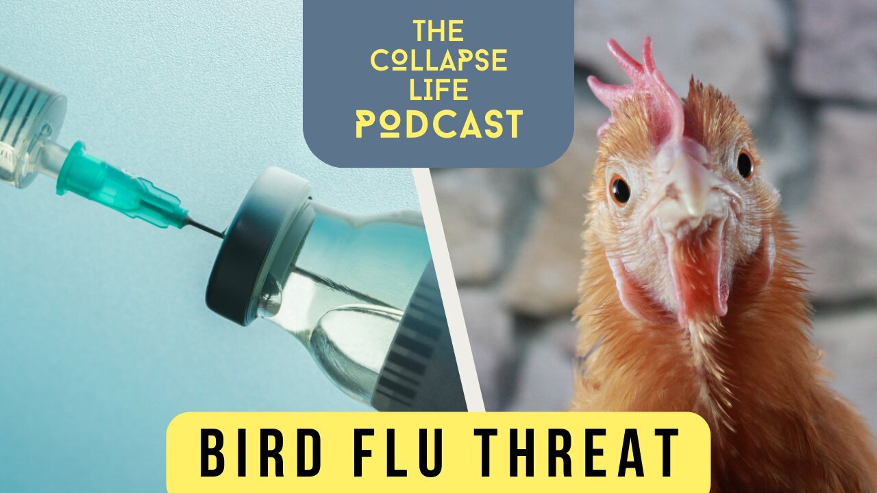 Bird Flu Threat: Are We Facing Another Plandemic?