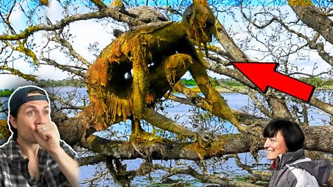 Top 3 IMPOSSIBLE places people were found - Missing 411 (Part 15)