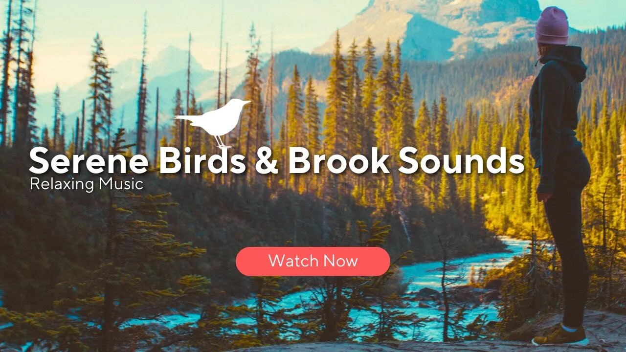 Melodiescapes: relaxing 🧘‍♀️ music and birds 🐦 sounds for serene sleep and relaxation | brook sounds