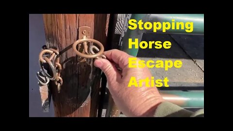 Horse Gate Locking & Latches 101 - Outsmarting Those Escape Artist Horses