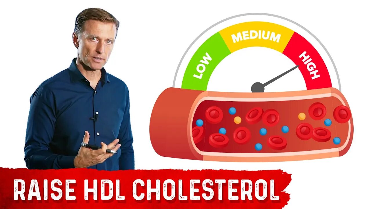 The Most Powerful Agent to Raise HDL