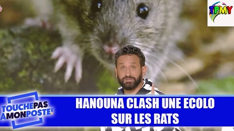 Le coup gueule d'Amandine de ParisZoopolis, outrée par les propos d'hanouna sur les rats dans TPMP!