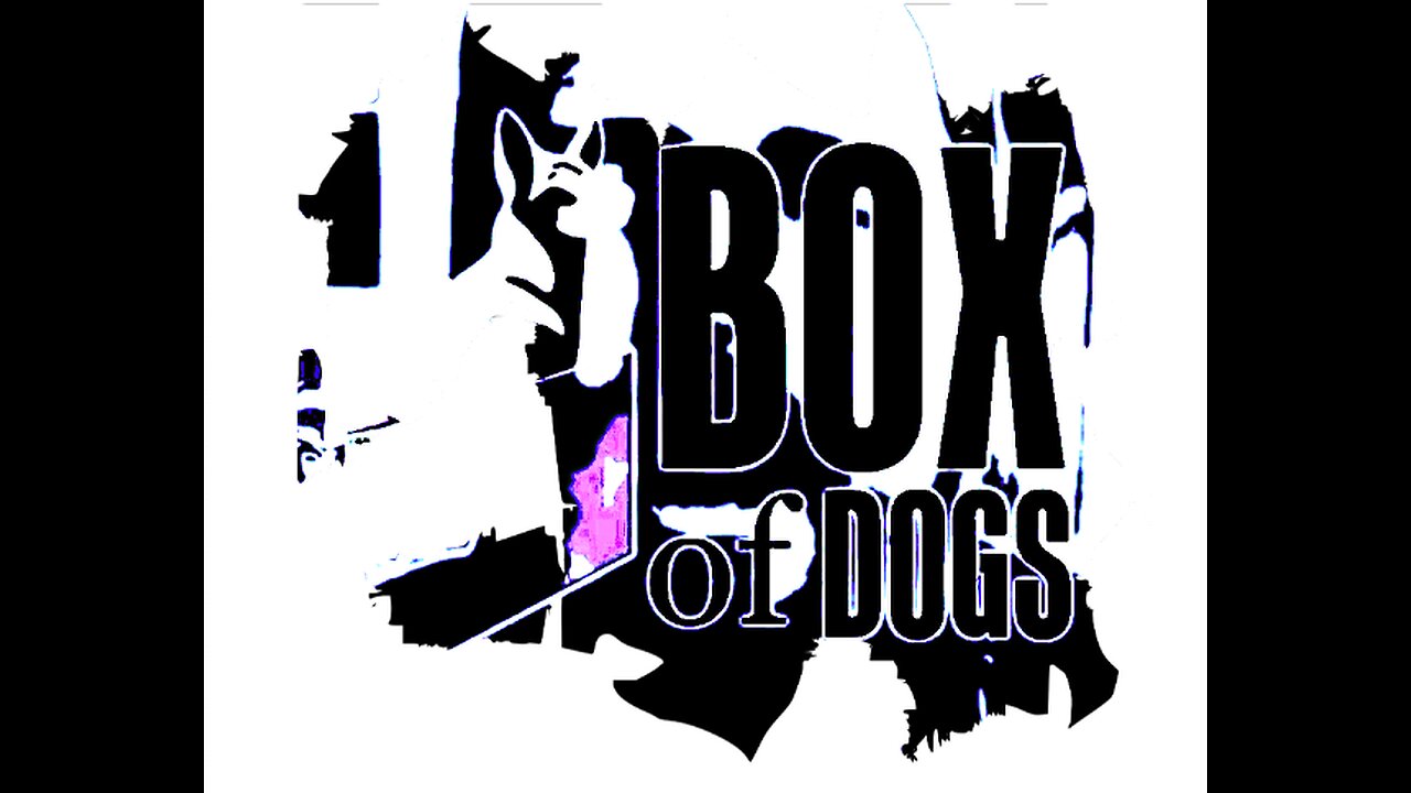 BoxOfDogs#52 - A Head Of Lettuce - And some Gratitude