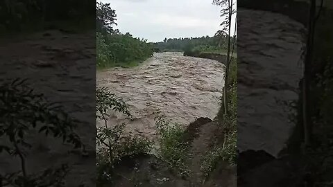 Flood in the Philippines from heavy rain #flood