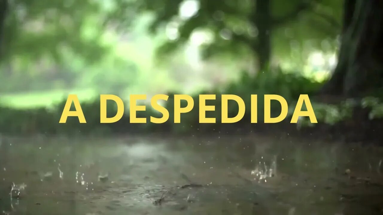 A DESPEDIDA (POEMA AUTORAL)