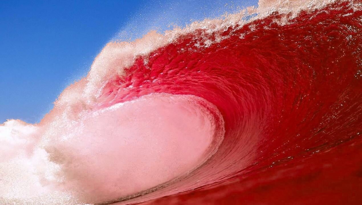 The Tide Is Turning, Red Wave Sweeps the USA, MSM Turns Against Fauci