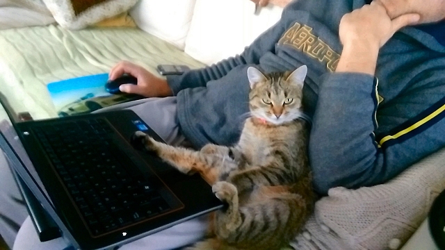 This laptop is mine! and Man too!