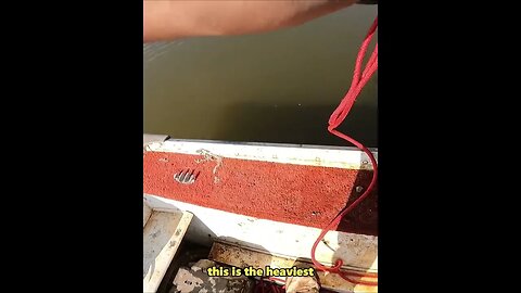 Monster Magnet Fishing Haul Discovering the Giant Anchor of the Deep! #magnetfishing #shorts
