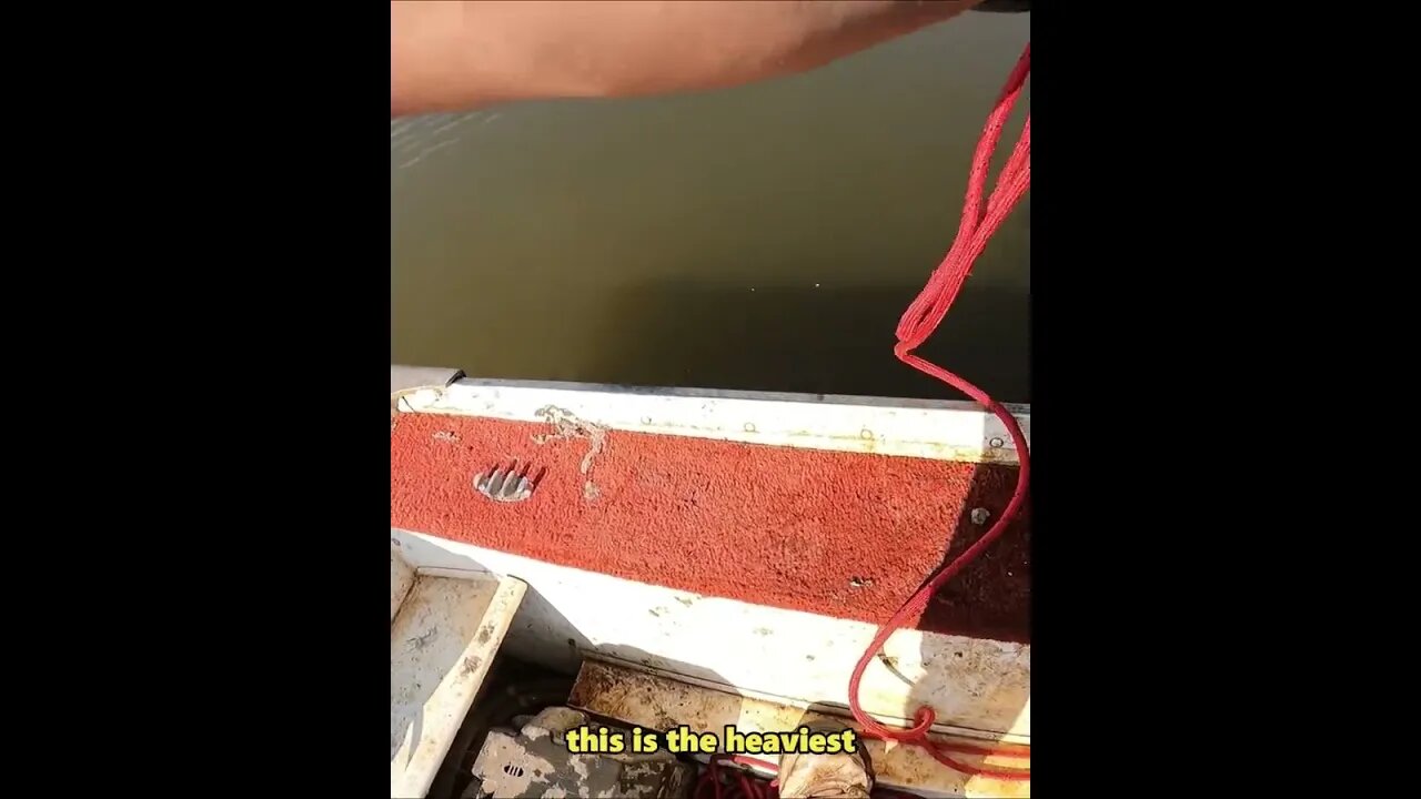 Monster Magnet Fishing Haul Discovering the Giant Anchor of the Deep! #magnetfishing #shorts