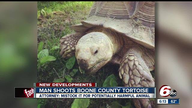 Man who shot Zionville pet tortoise said his mistook it for a harmful animal