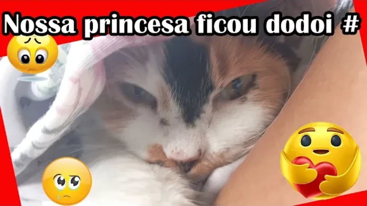 Nossa gatinha princesa ficou dodoi/ Familia Flima