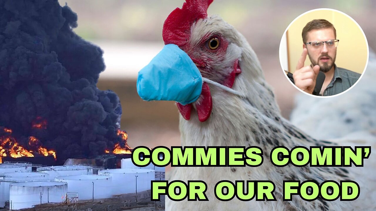 Commies Killing Our Chickens Cuz "Bird Floof" (& are they still burning down food plants?)