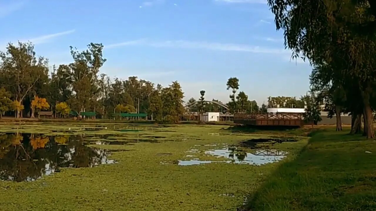 Sábado de otoño en Laguna de las Lavanderas - Tacuarembó, Uruguay (22/04/2023)