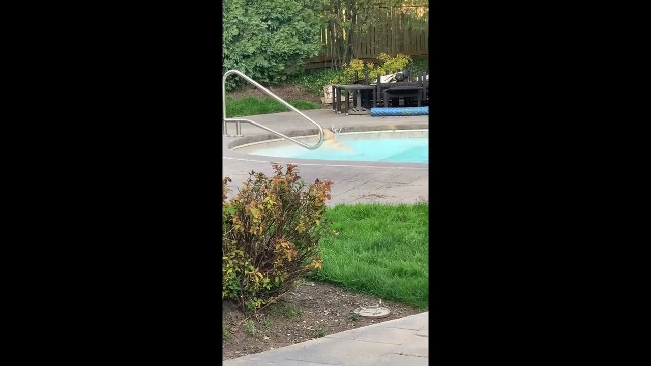 First time in pool